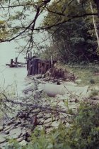 View south along the beach